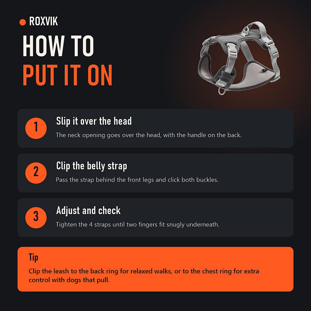 How to put on the ROXVIK harness in 3 steps