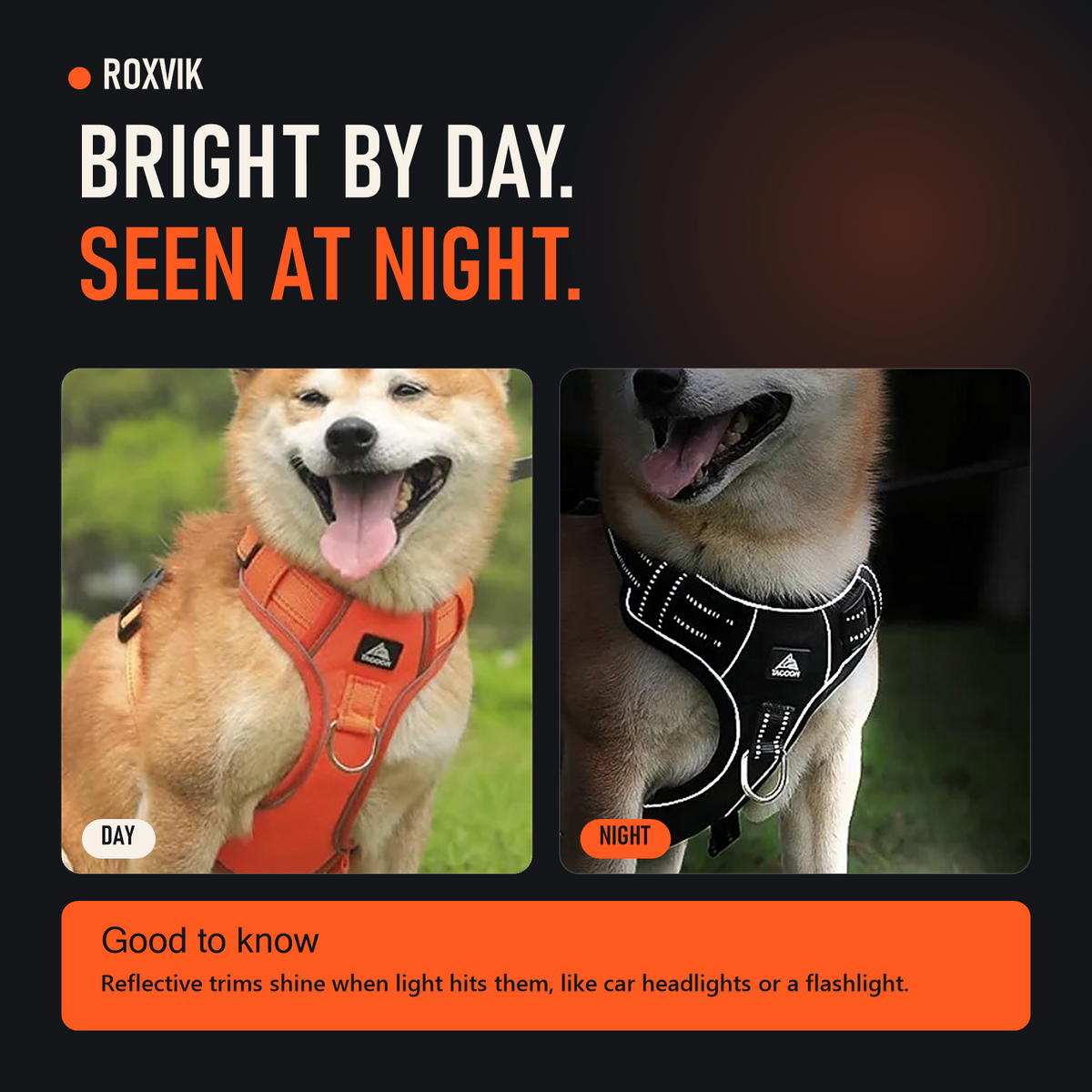 ROXVIK harness by day and at night