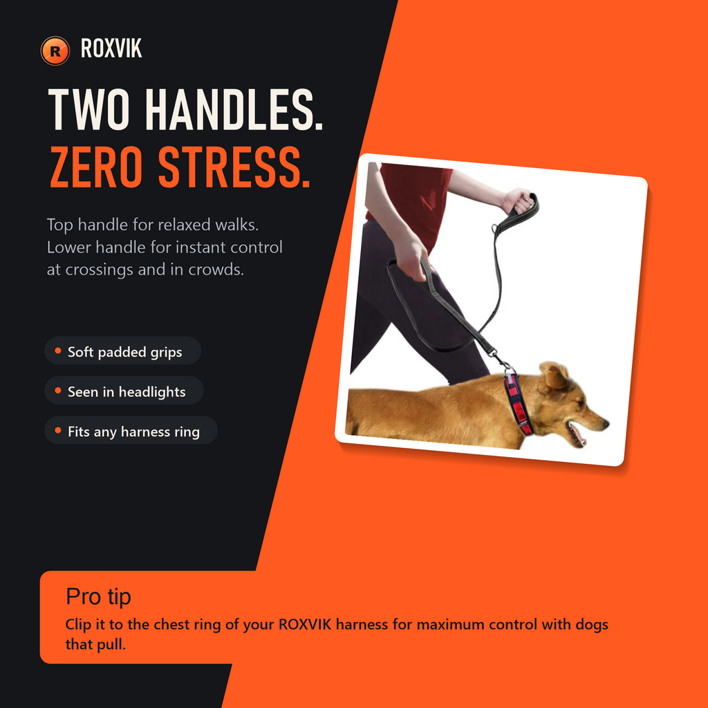 Two handles for total control
