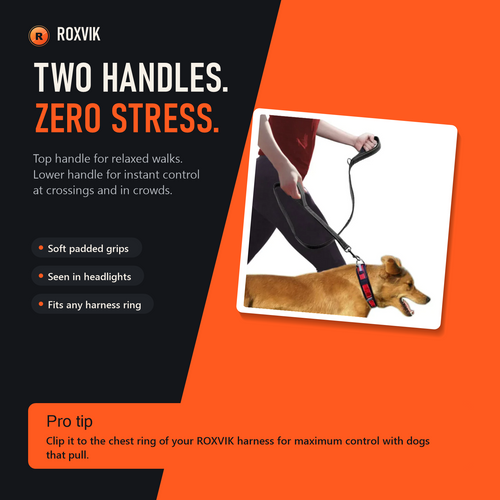 Two handles for total control