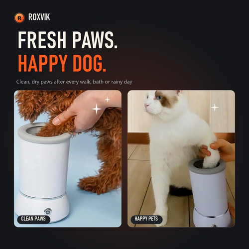 Clean paws, happy dog